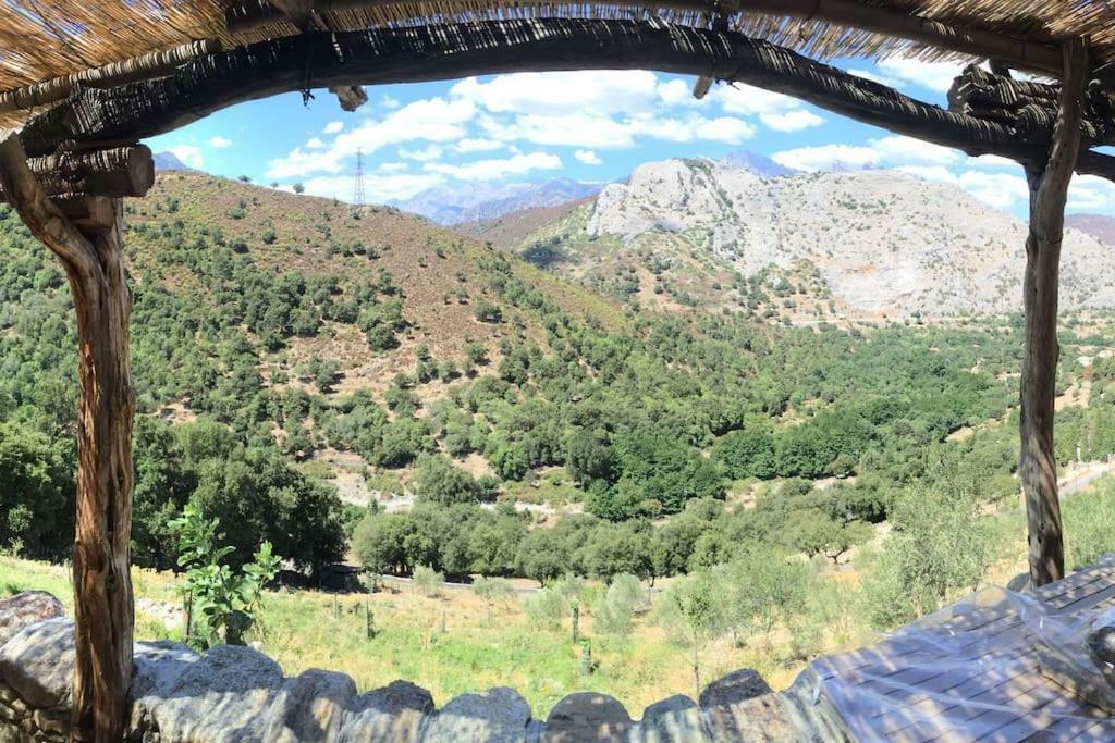 Les Bergeries "Le Figuier" Hotel Omessa Buitenkant foto