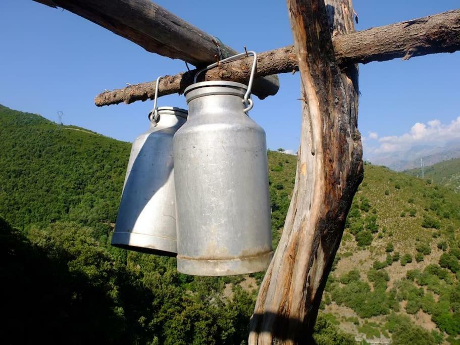Les Bergeries "Le Figuier" Hotel Omessa Buitenkant foto