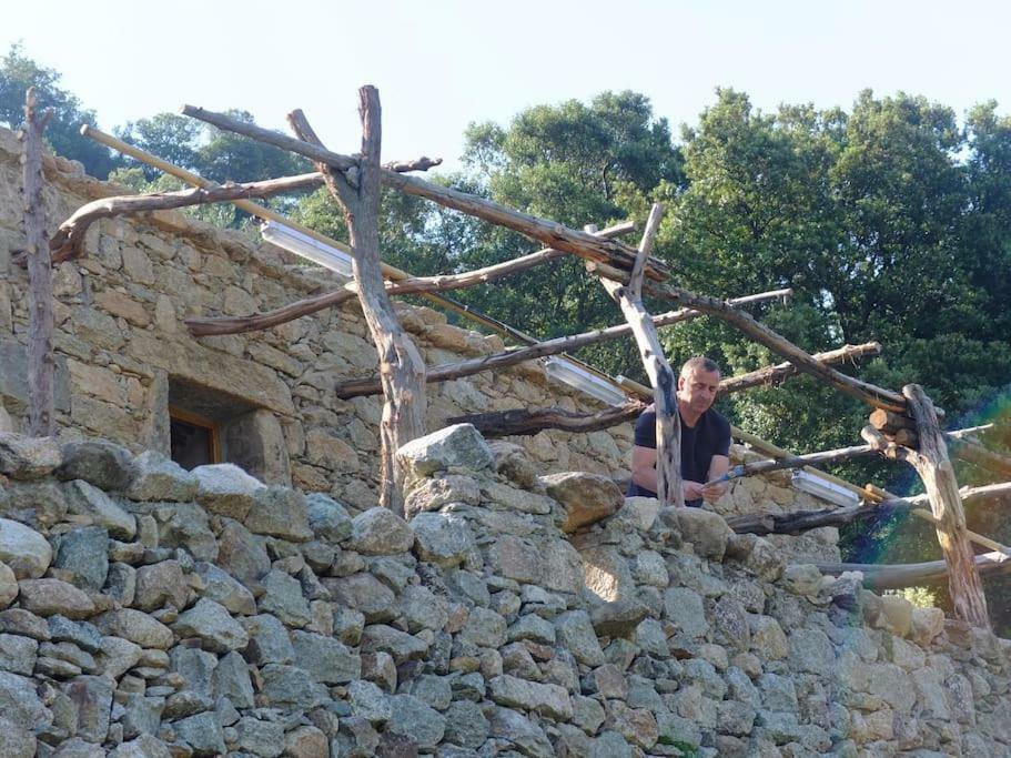 Les Bergeries "Le Figuier" Hotel Omessa Buitenkant foto