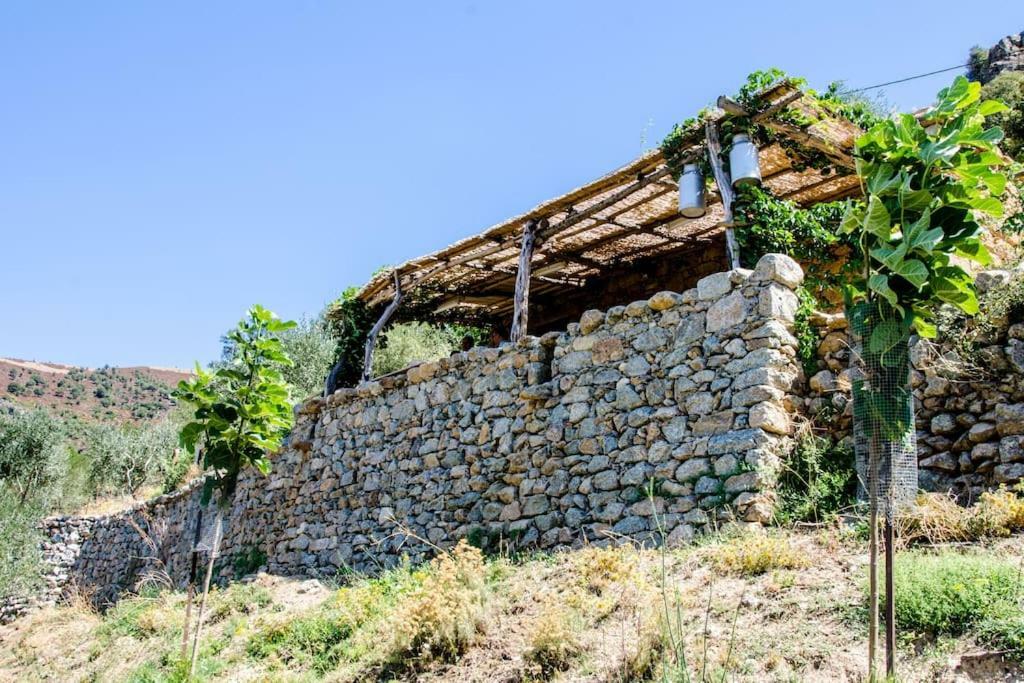 Les Bergeries "Le Figuier" Hotel Omessa Buitenkant foto
