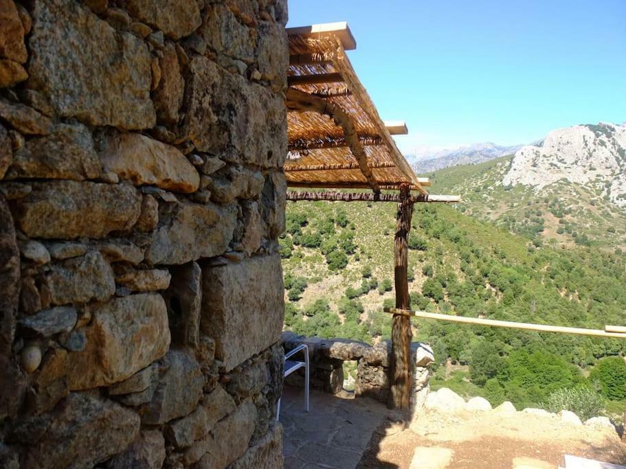 Les Bergeries "Le Figuier" Hotel Omessa Buitenkant foto