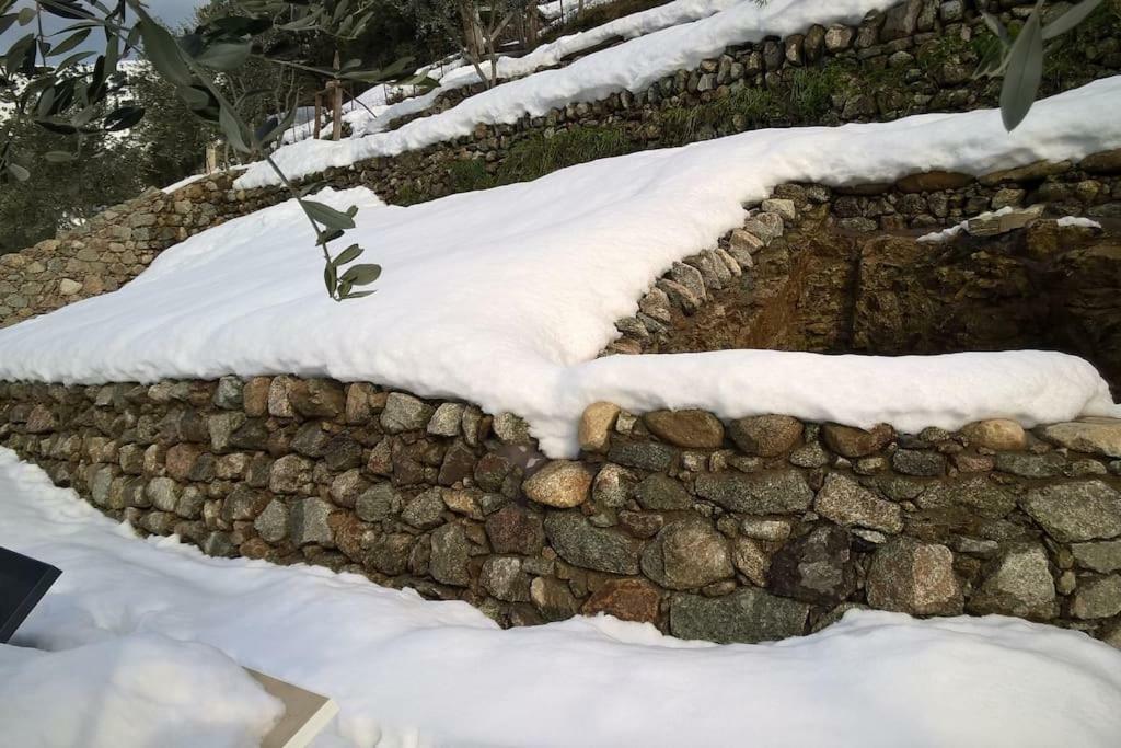 Les Bergeries "Le Figuier" Hotel Omessa Buitenkant foto