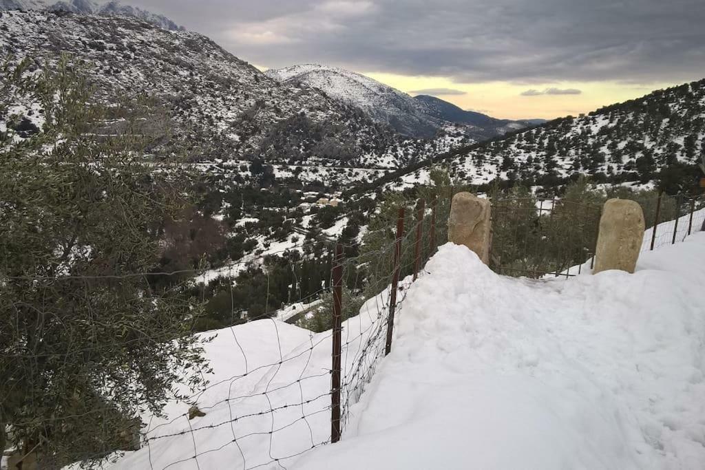 Les Bergeries "Le Figuier" Hotel Omessa Buitenkant foto
