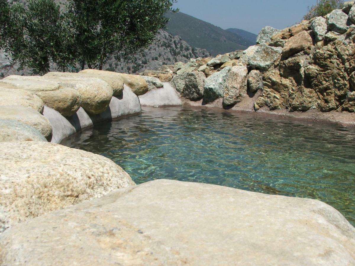Les Bergeries "Le Figuier" Hotel Omessa Buitenkant foto