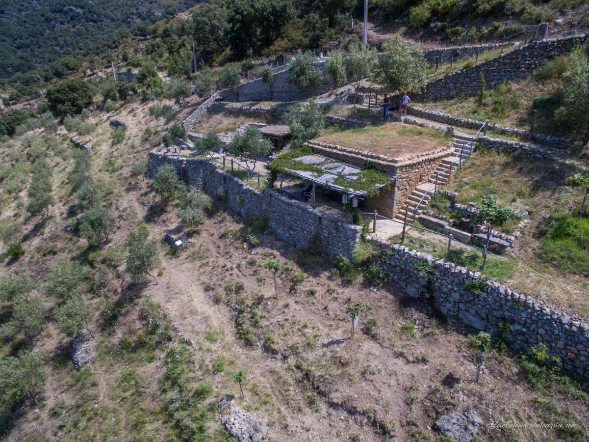 Les Bergeries "Le Figuier" Hotel Omessa Buitenkant foto