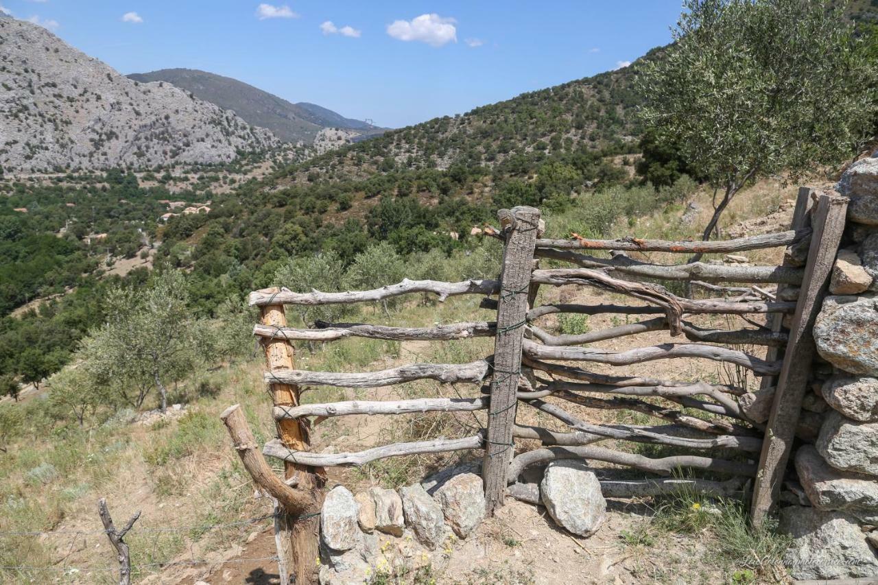 Les Bergeries "Le Figuier" Hotel Omessa Buitenkant foto