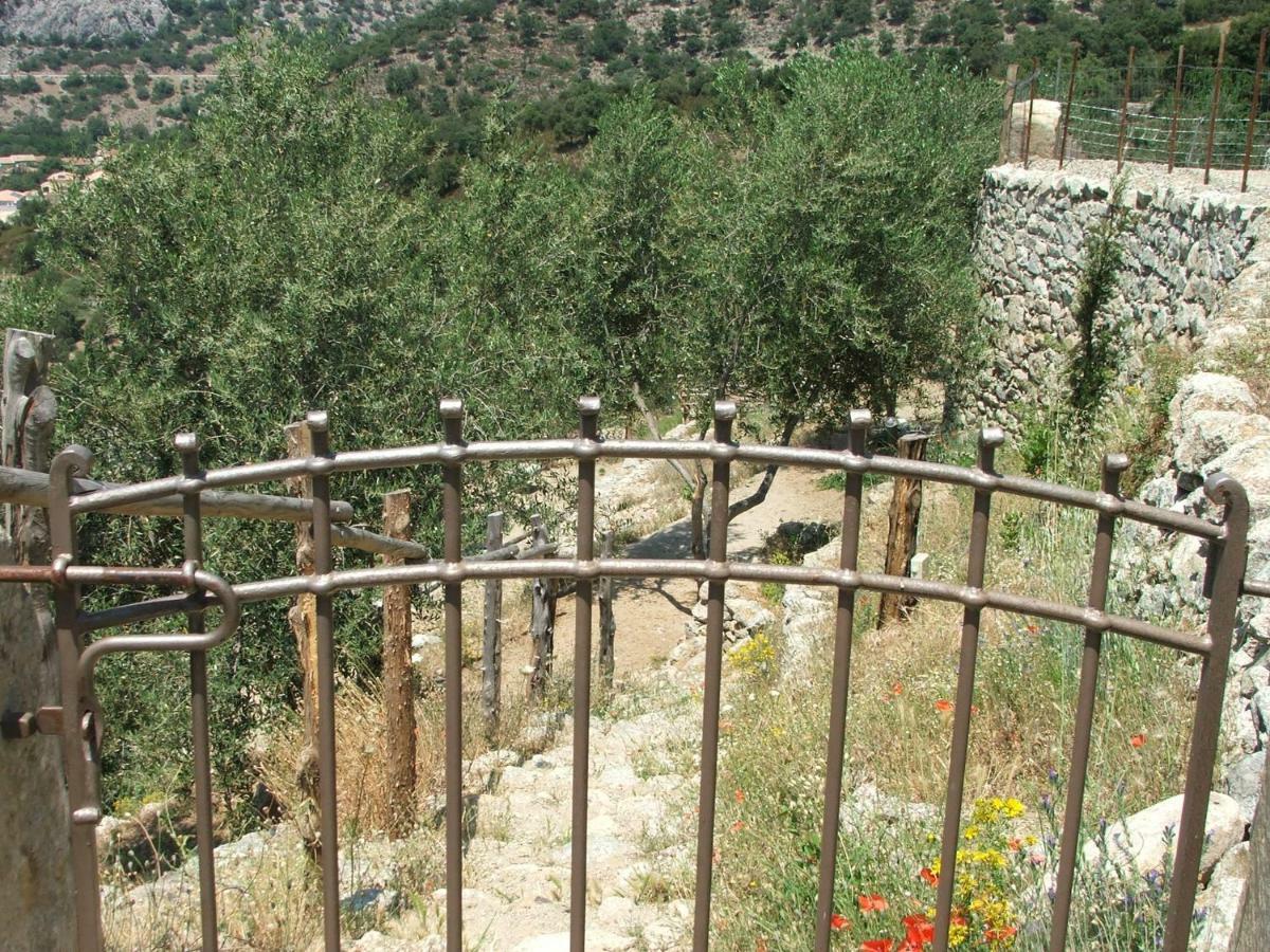 Les Bergeries "Le Figuier" Hotel Omessa Buitenkant foto