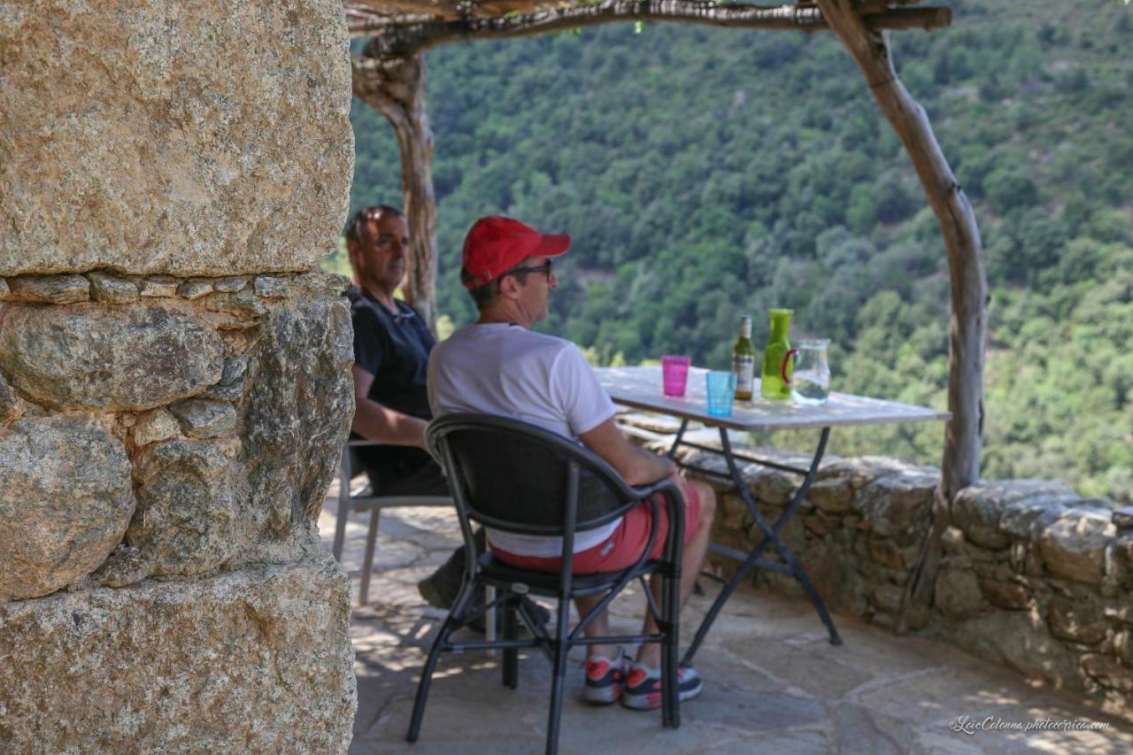 Les Bergeries "Le Figuier" Hotel Omessa Buitenkant foto