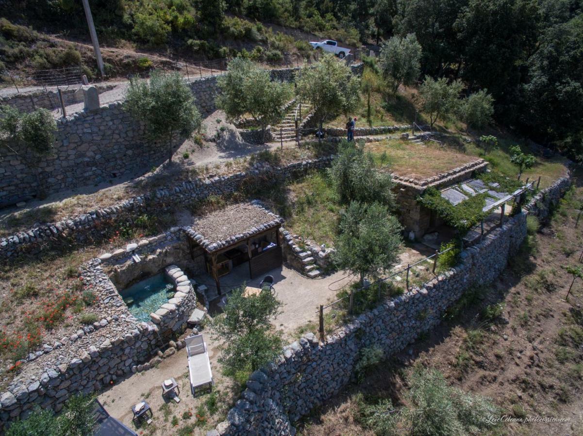 Les Bergeries "Le Figuier" Hotel Omessa Buitenkant foto