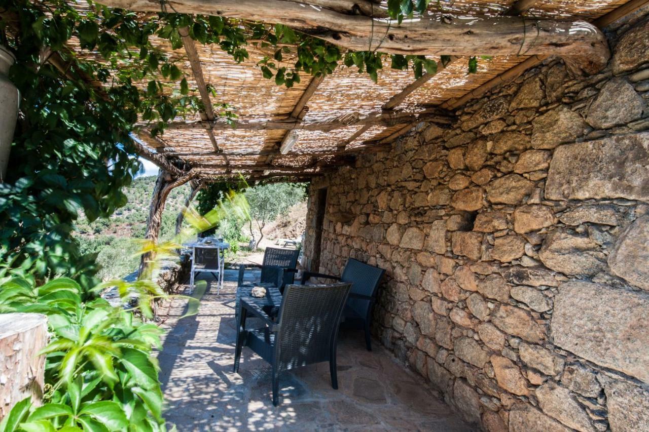 Les Bergeries "Le Figuier" Hotel Omessa Buitenkant foto