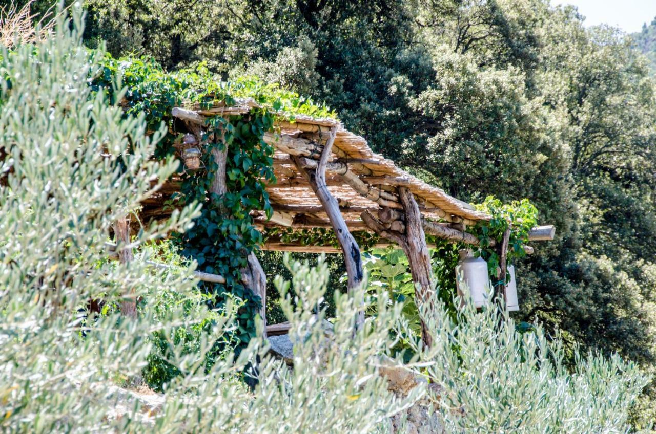 Les Bergeries "Le Figuier" Hotel Omessa Buitenkant foto