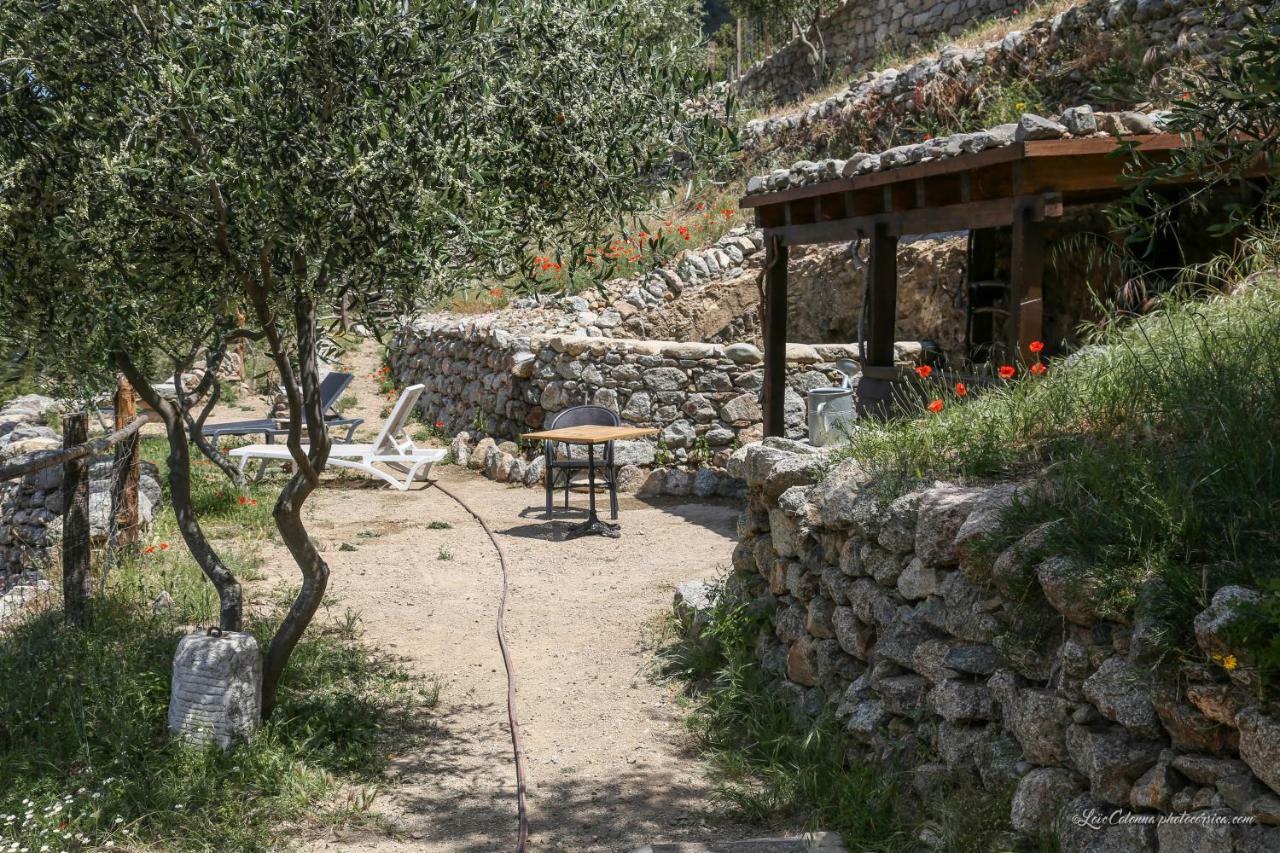 Les Bergeries "Le Figuier" Hotel Omessa Buitenkant foto